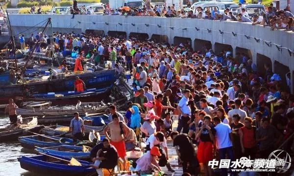 黄渤海特点海鲜,黄渤海渔场海鲜有哪些