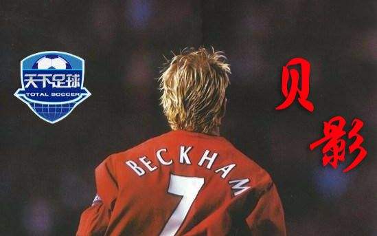 世界冠军齐聚的视频,世界冠军和明星综艺