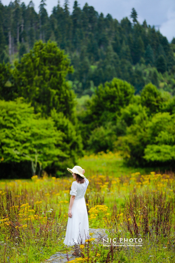 九月份的江南风景,四月的江南风景