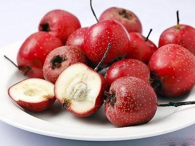 本草山楂,每日一本草茴香