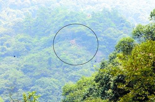 “金龟守财，生财穴位”吕洞宾指点迷津