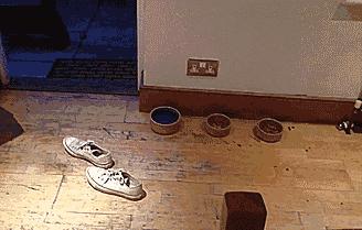 鏉ㄨ秴瓒婅劚闉嬬┛琚滃瓙,鏉ㄨ秴瓒婂洖搴旈椈鑷瀷