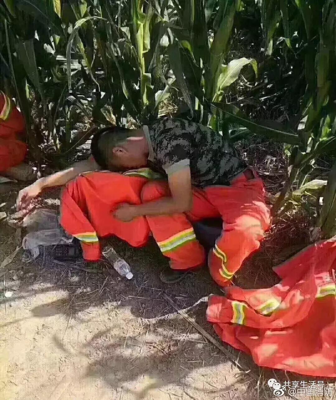 寿光抗洪救灾最新进展,寿光抢险进展