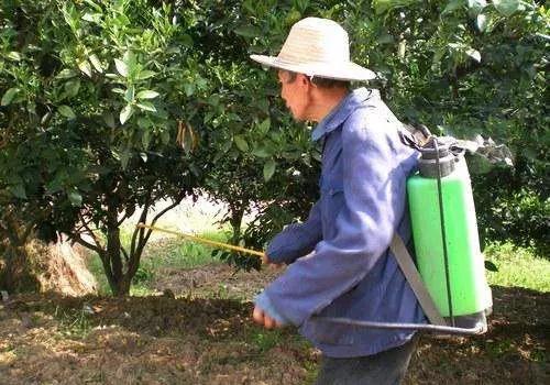 矿物油的作用及杀虫效果,矿物油药效多久
