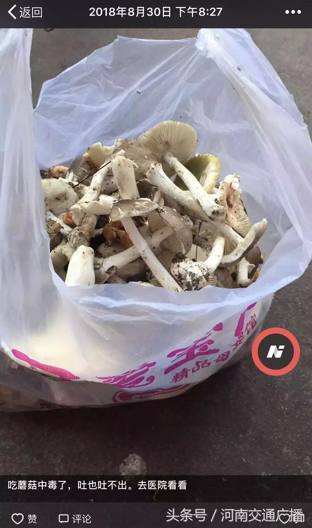 一家三口围炉煮茶中毒,一家三口中毒致命