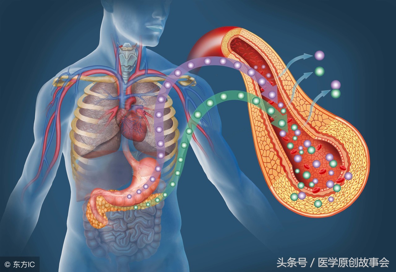 乔布斯从查出胰腺癌到死亡多久,乔布斯确诊胰腺癌后生存几年