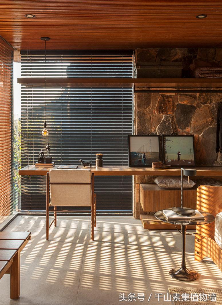 绿色植物墙效果怎么样,最好看的植物墙