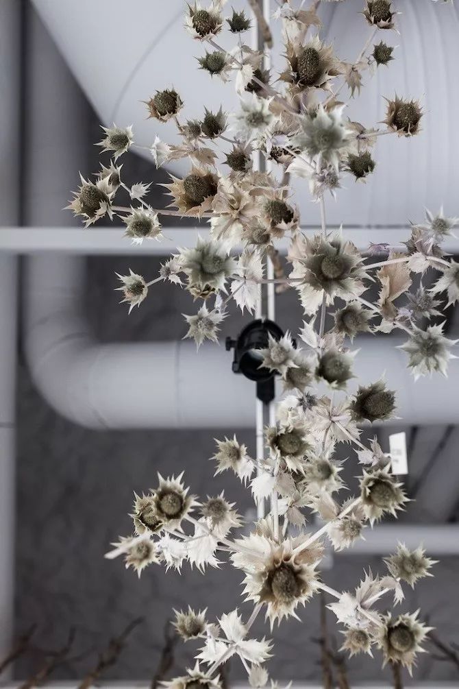 世界上最好的小花店,文艺复古小花店