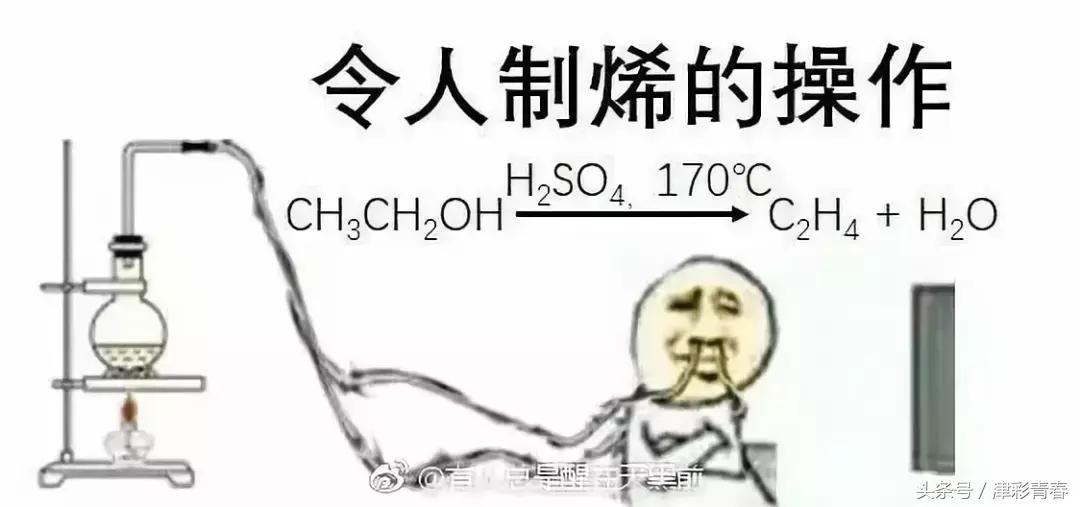 我们是受过专业训练的表情包,我们都受过专业的训练表情包