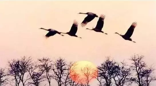 白露至秋意浓天气渐凉早晚添衣,今日白露秋意浓浓天变凉