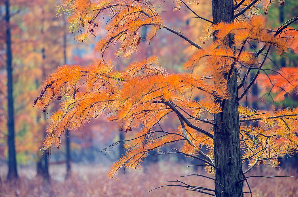 我存了256G的小黄片想和你深夜一起看