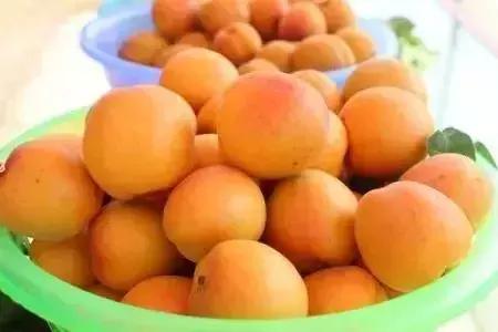 青白江水果西梅,青白江应季水果