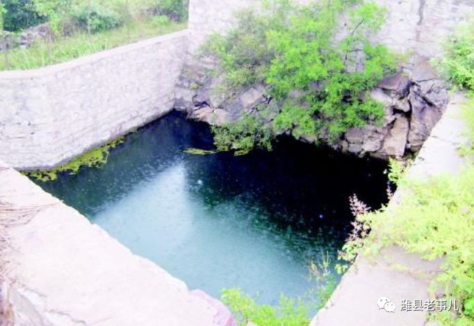 潍县有泉无？且看《寻泉记》！