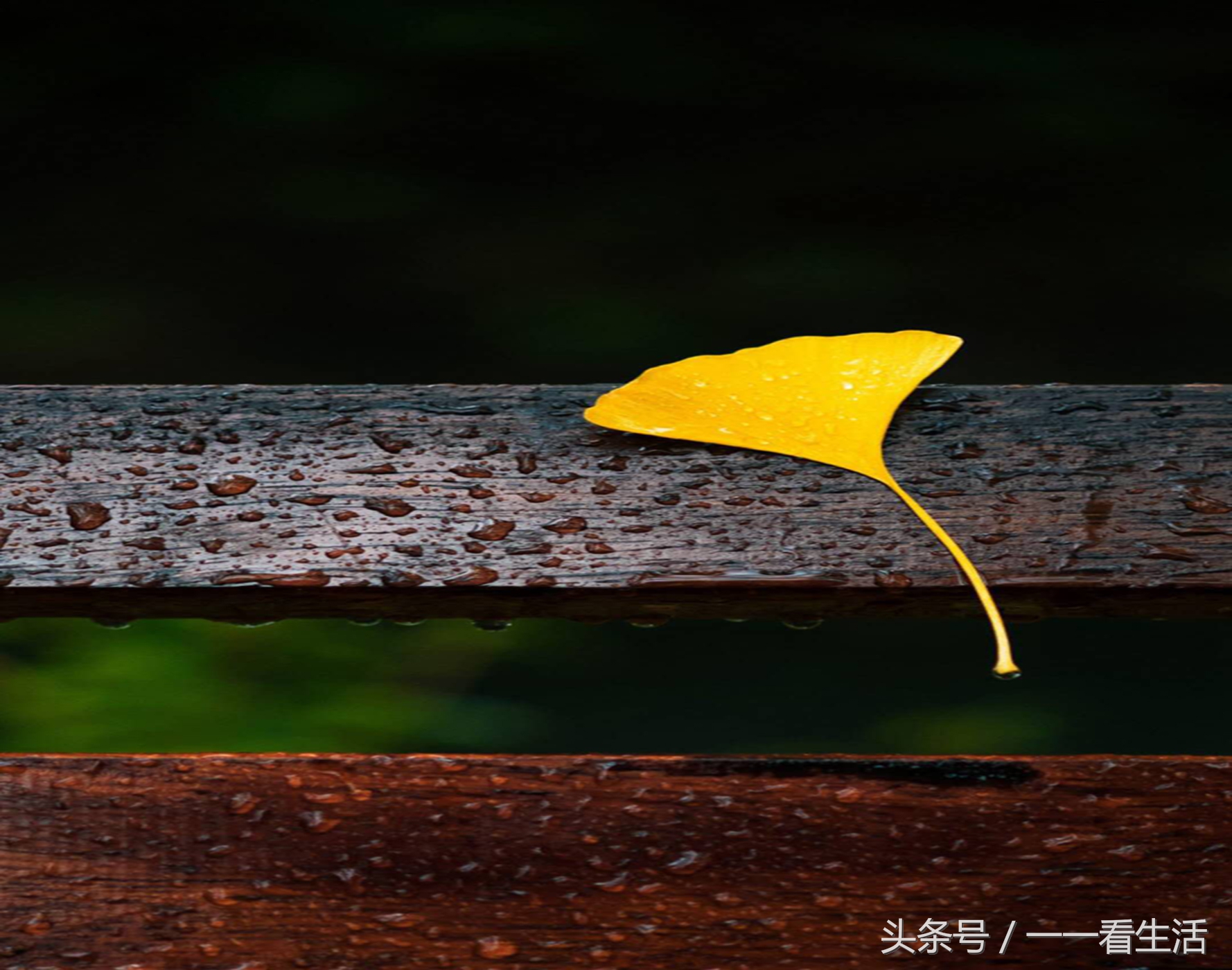 为回家找一个理由