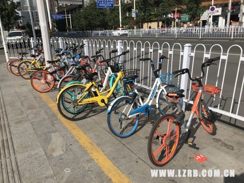 共享单车加强日常管理调度,最新共享单车调度费