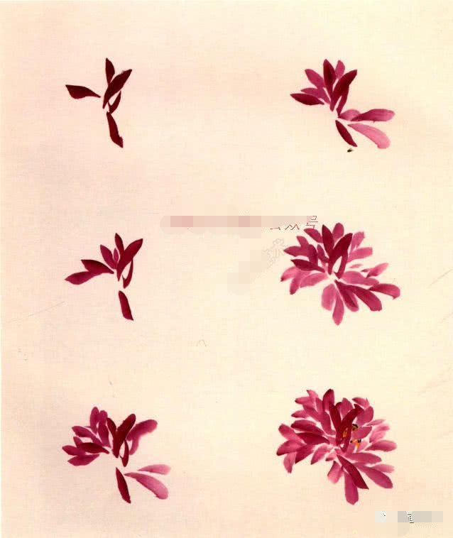 国画小写意菊花花头的画法,菊花国画写意画法视频