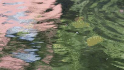 矿泉水瓶做小船能装东西,多少个矿泉水瓶子可以做一个小船