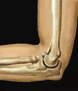 肘关节粘连康复锻炼心得,肘关节脱臼康复锻炼方法