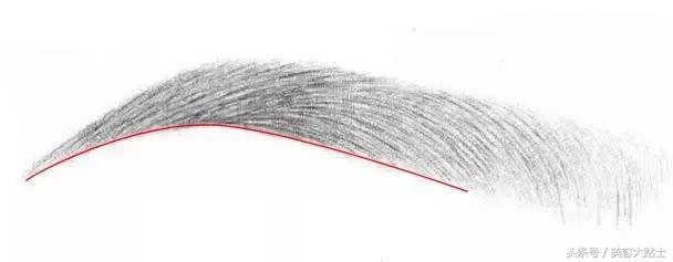 3d眉毛和野生眉哪个好看,颧骨突的适合什么眉毛