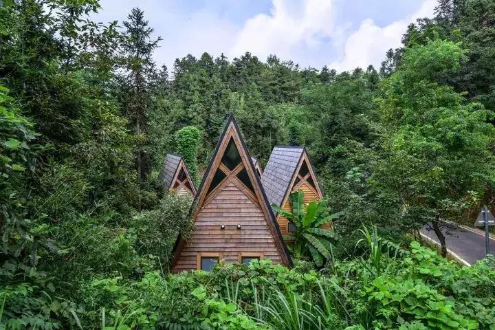 这些民宿景美价廉,这些民宿会刷新你对民宿的认知