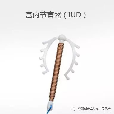 世界避孕日是几月几日,世界避孕日历年主题