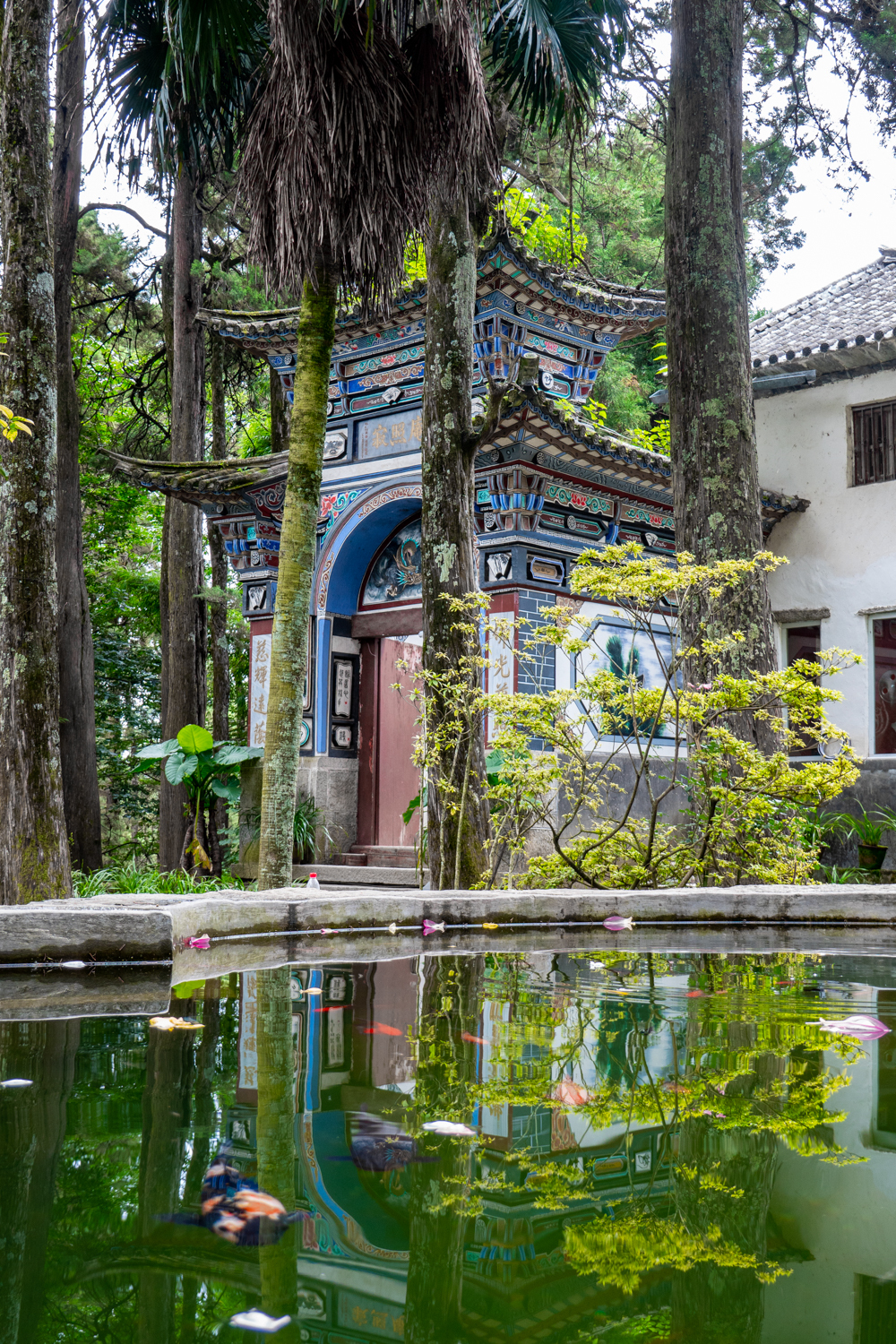 玩转云南大理攻略图片大全,大理玩转一周洱海攻略