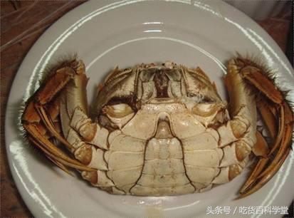 螃蟹公母分开养殖技术视频教程,麻辣螃蟹怎么选公母哪个好吃些