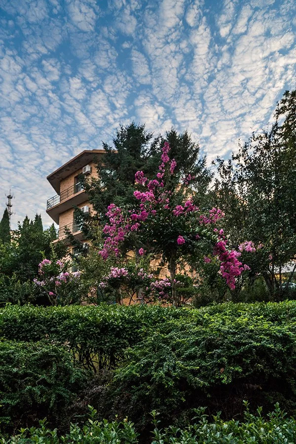 晨光暮色渐更迭,晨光暮色