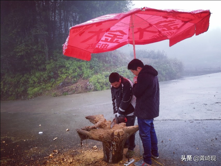用根雕茶桌喝茶,根雕小茶桌泡茶