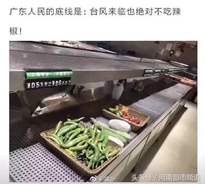 没有感情的广东人！台风天救起的乌龟，第二天就炖汤啦？