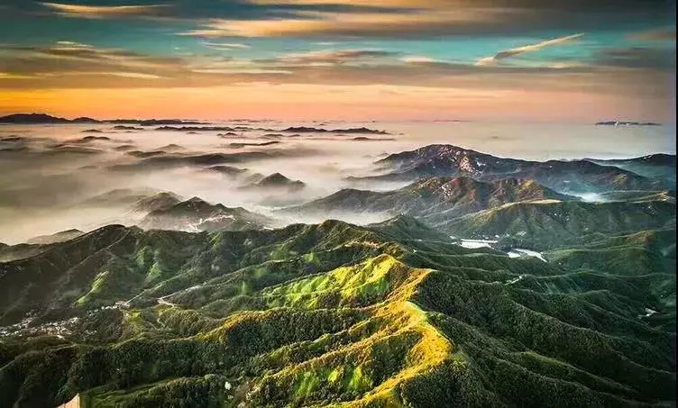 Hi，我是即将站上世界C位的山东！