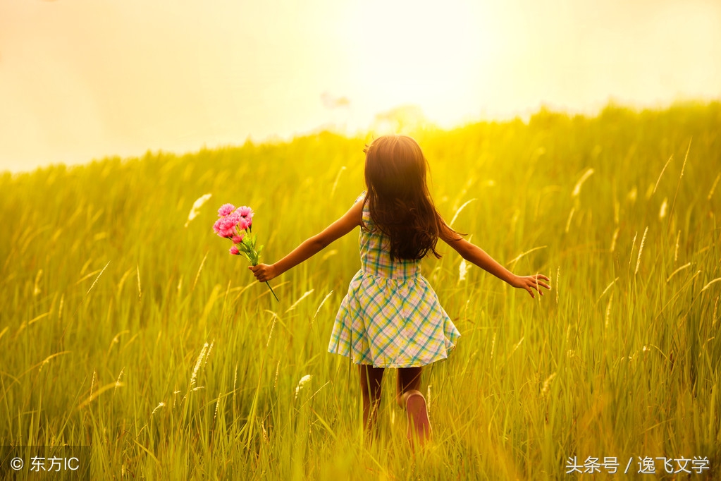 美丽的遇见感言,美丽的遇见在茫茫人海中