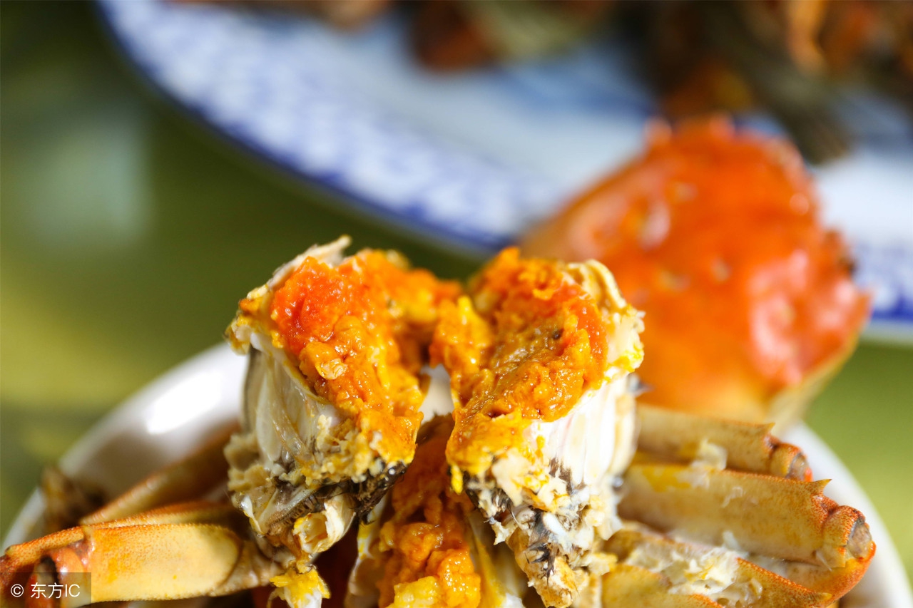 吃螃蟹的禁忌及注意事项,吃螃蟹九条禁忌到底哪些是真的