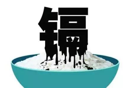 亨氏米粉重金属超标吗,亨氏米粉铅超标最新事件
