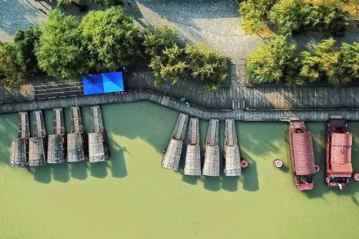 沙家浜芦苇荡游玩体验感想,沙家浜风起芦苇荡