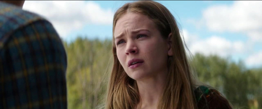 关于狗狗的一部很感人的电影,狗狗感人电影一条狗的使命