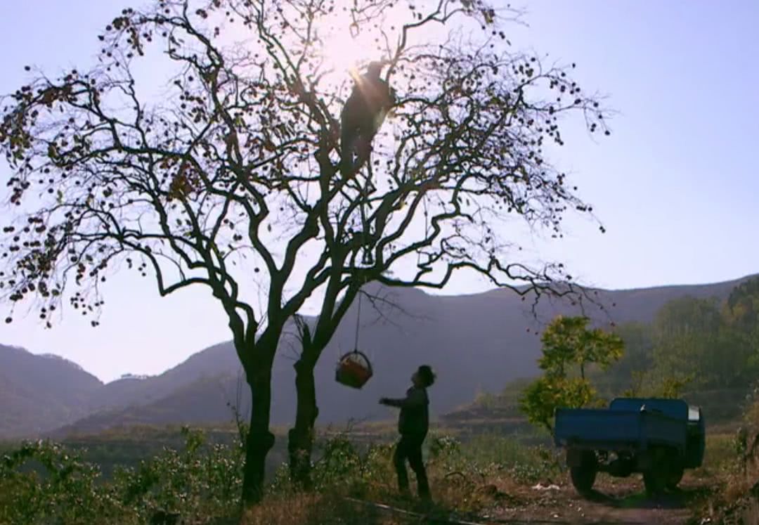 中国农村电影豆瓣,中国乡村大型纪录片