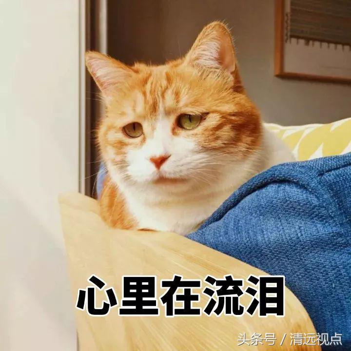 乐高嘉年华上海,乐高世界嘉年华
