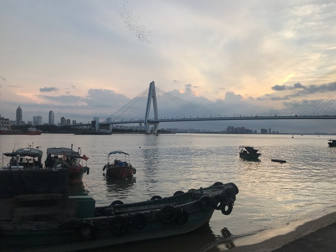 海口特点美食游玩攻略,玩转海口经典美景加美食攻略