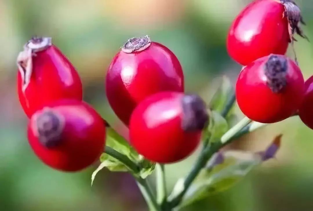 澳洲美白丸什么样的,澳洲美白丸最佳吃法