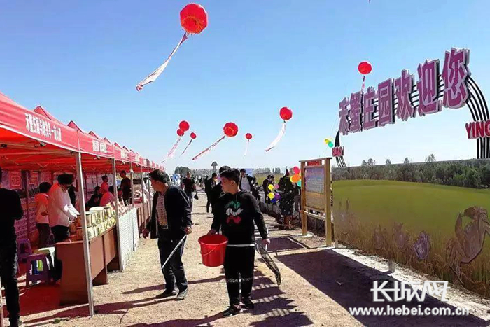 文旅融合绽放,文旅深度结合绽放迷人魅力