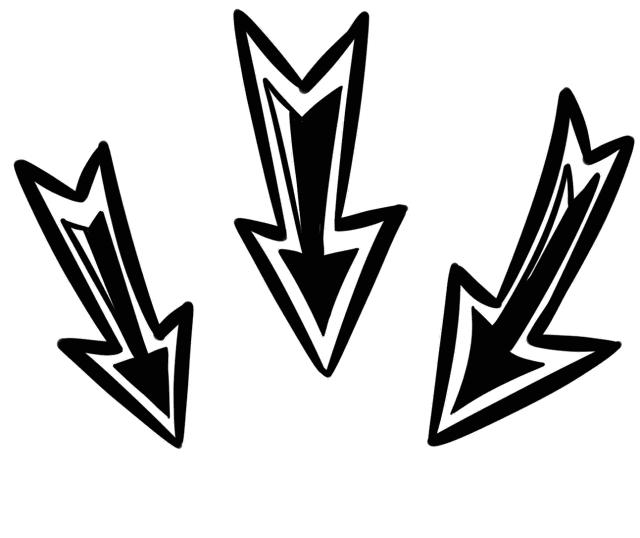 国庆节嗨玩！厦门最潮动物园打卡新地标！解锁潮玩新姿势！