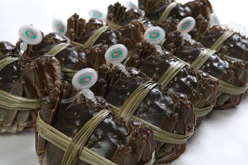 阳澄湖大闸蟹活蟹怎么保存,挑选阳澄湖大闸蟹的技巧