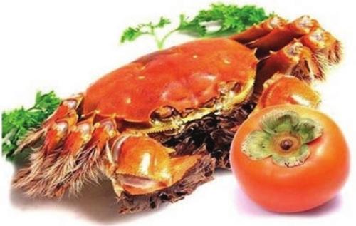 阳澄湖大闸蟹活蟹怎么保存,挑选阳澄湖大闸蟹的技巧