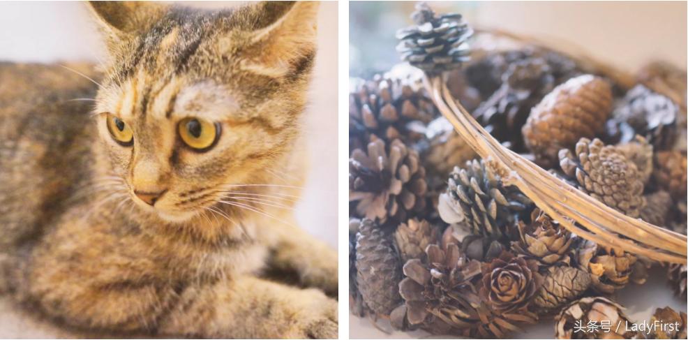 杭州青旅哪家好,杭州四季青附近青旅推荐