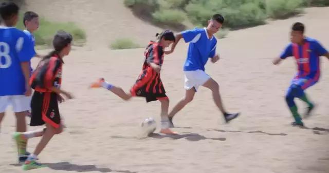 *疆新**，你除了牛羊还有什么？