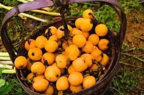 港真！劝你国庆节千万别离开广州！因为……