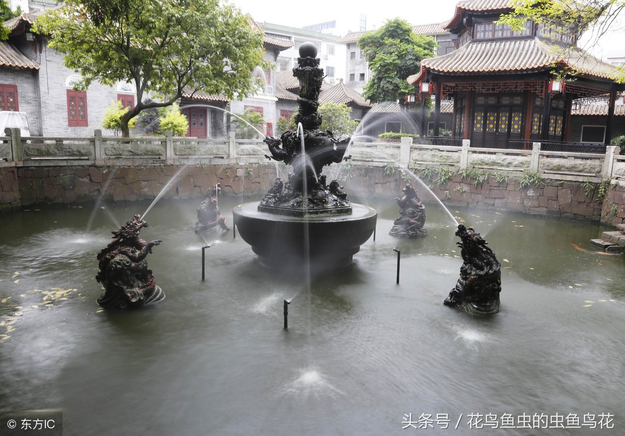 户外鱼池滴流过滤怎么做最好,庭院假山鱼池如何做循环过滤