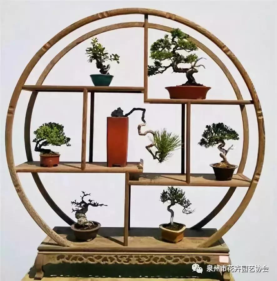 喜迎国庆节展风采,迎国庆节鲜花展美图