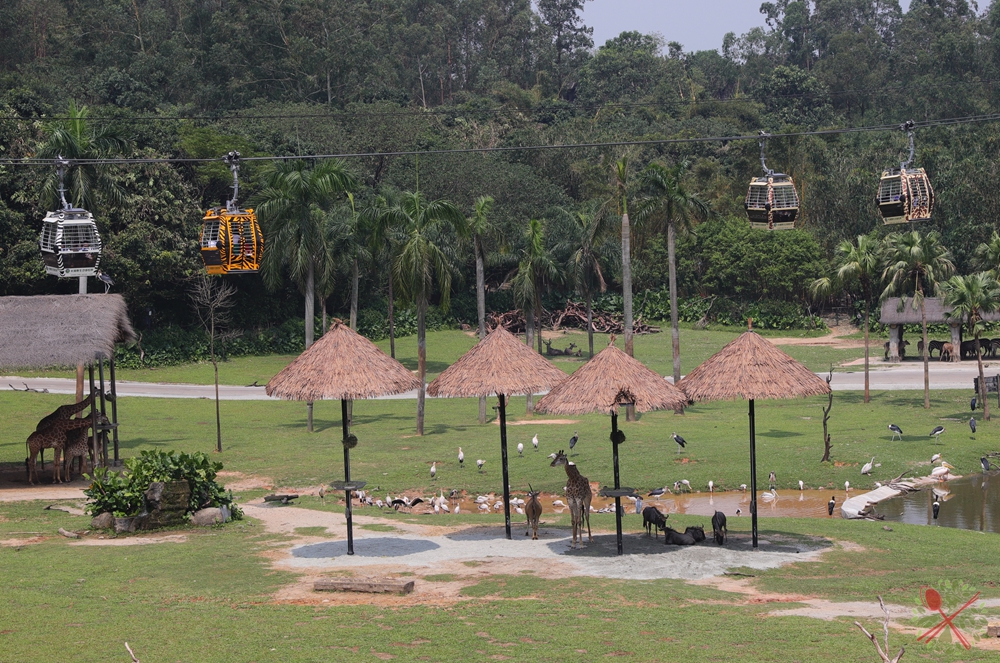 广州长隆乐园最全游玩攻略,广州长隆乐园旅游攻略三天两夜
